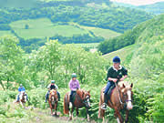 Pony trekking in the Black Mountains